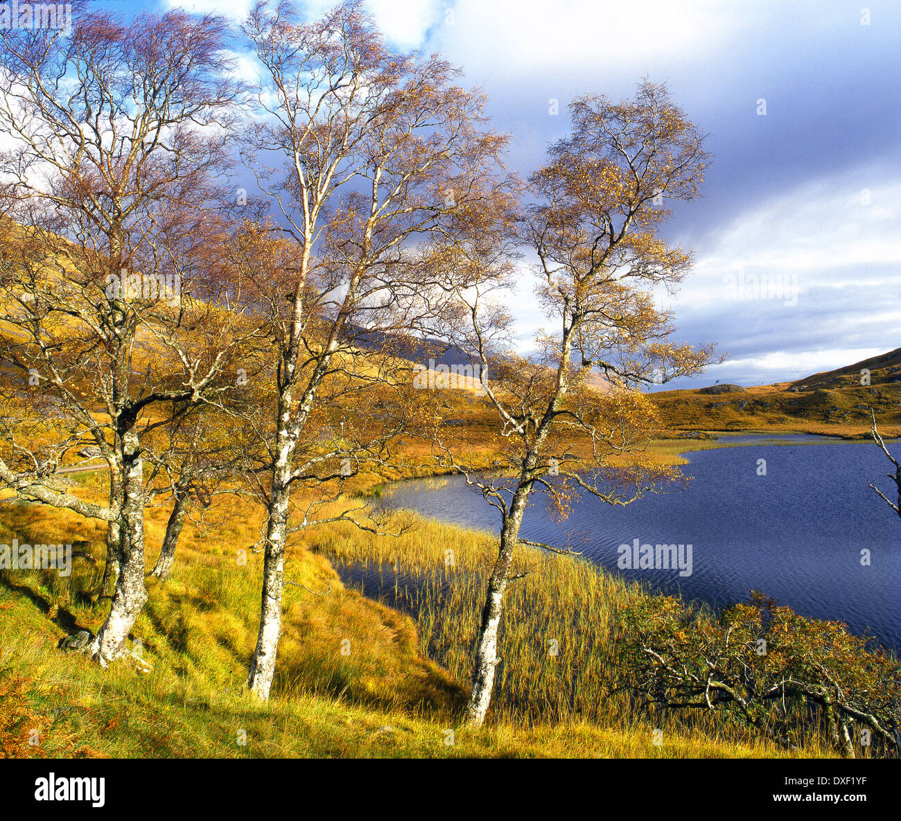 Loch Quoich, Scottish Highlands Stock Photo - Alamy