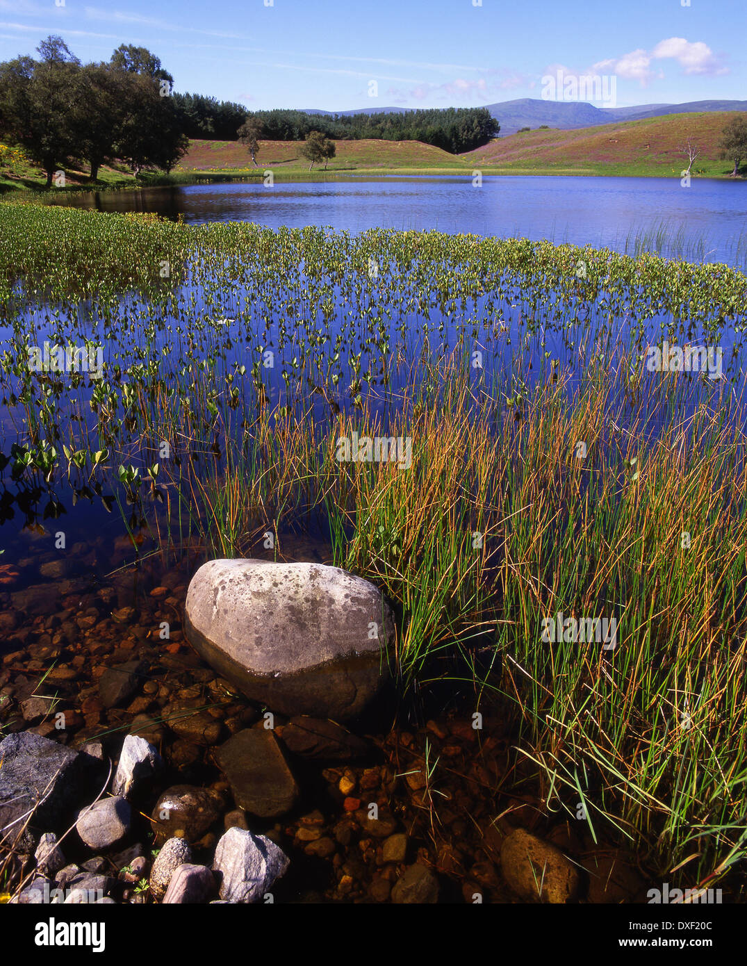 The Central Highlands Hi res Stock Photography And Images Alamy The Central Highlands Hi res Stock Photography And Images Alamy