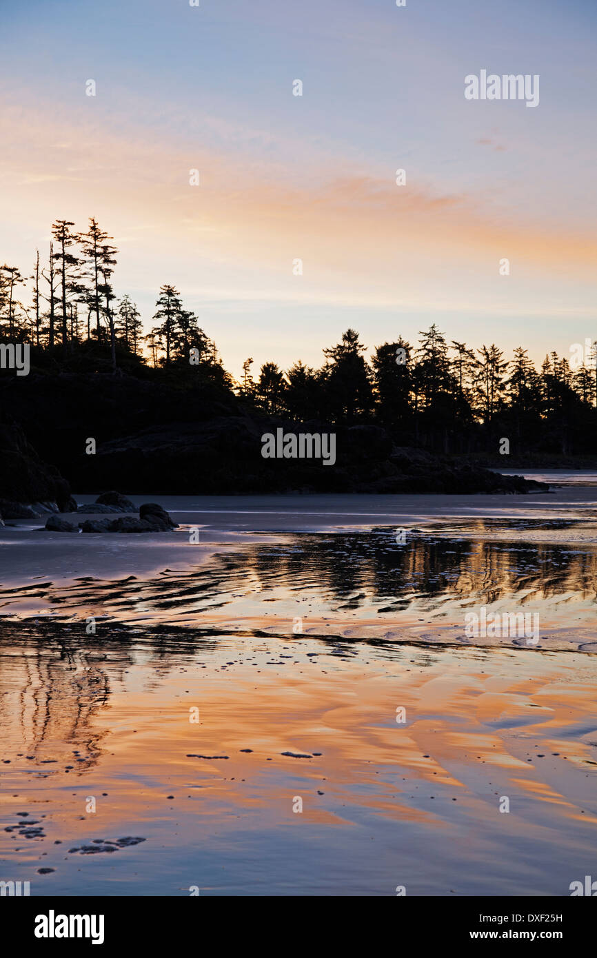 Tofino area of Long Beach at sunrise, West Coast, British Columbia, Canada Stock Photo