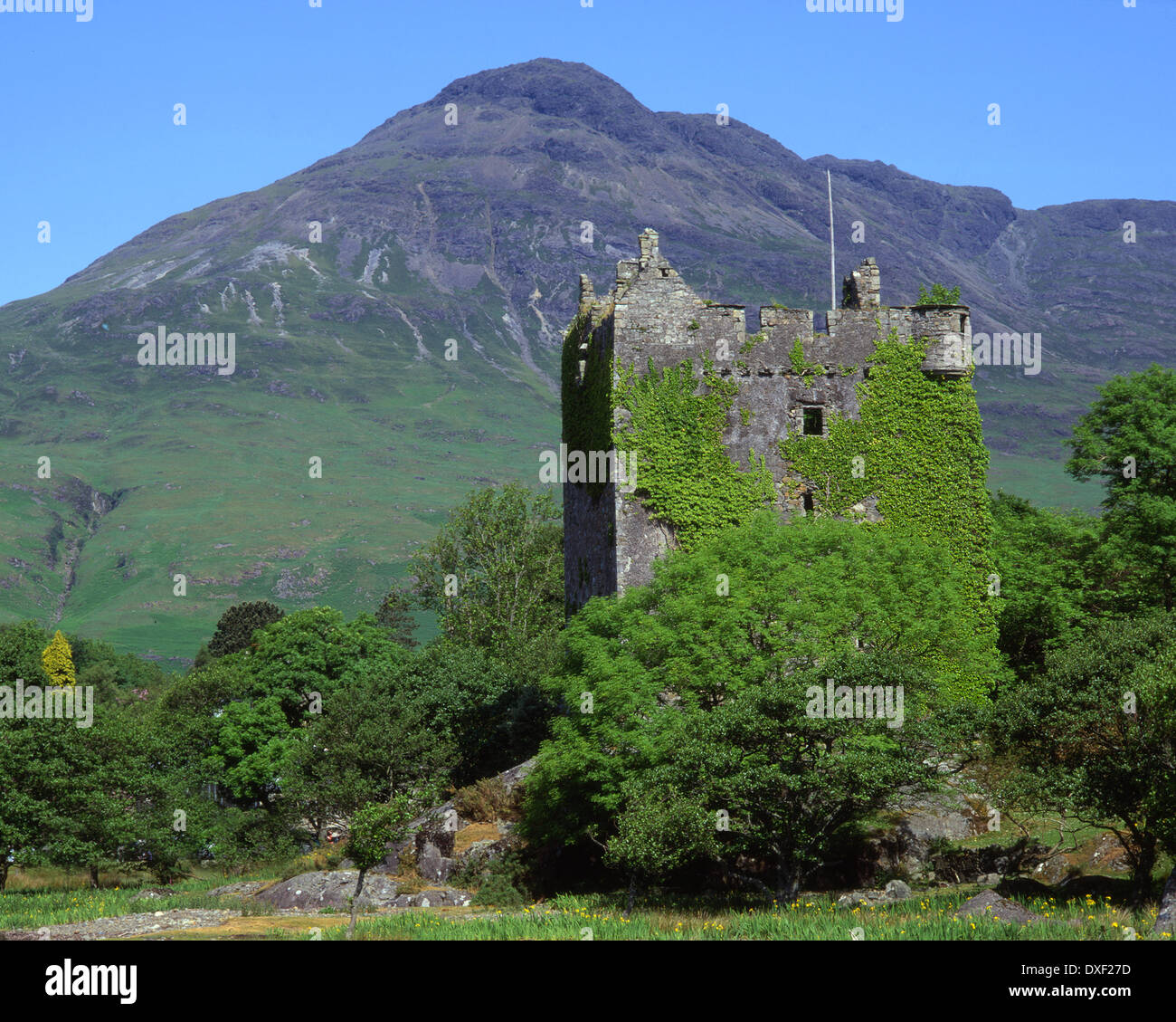 The MacLaine stronghold of Moy castle tower house and ben buie, Loch Buie, Isle of Mull, Argyll Stock Photo