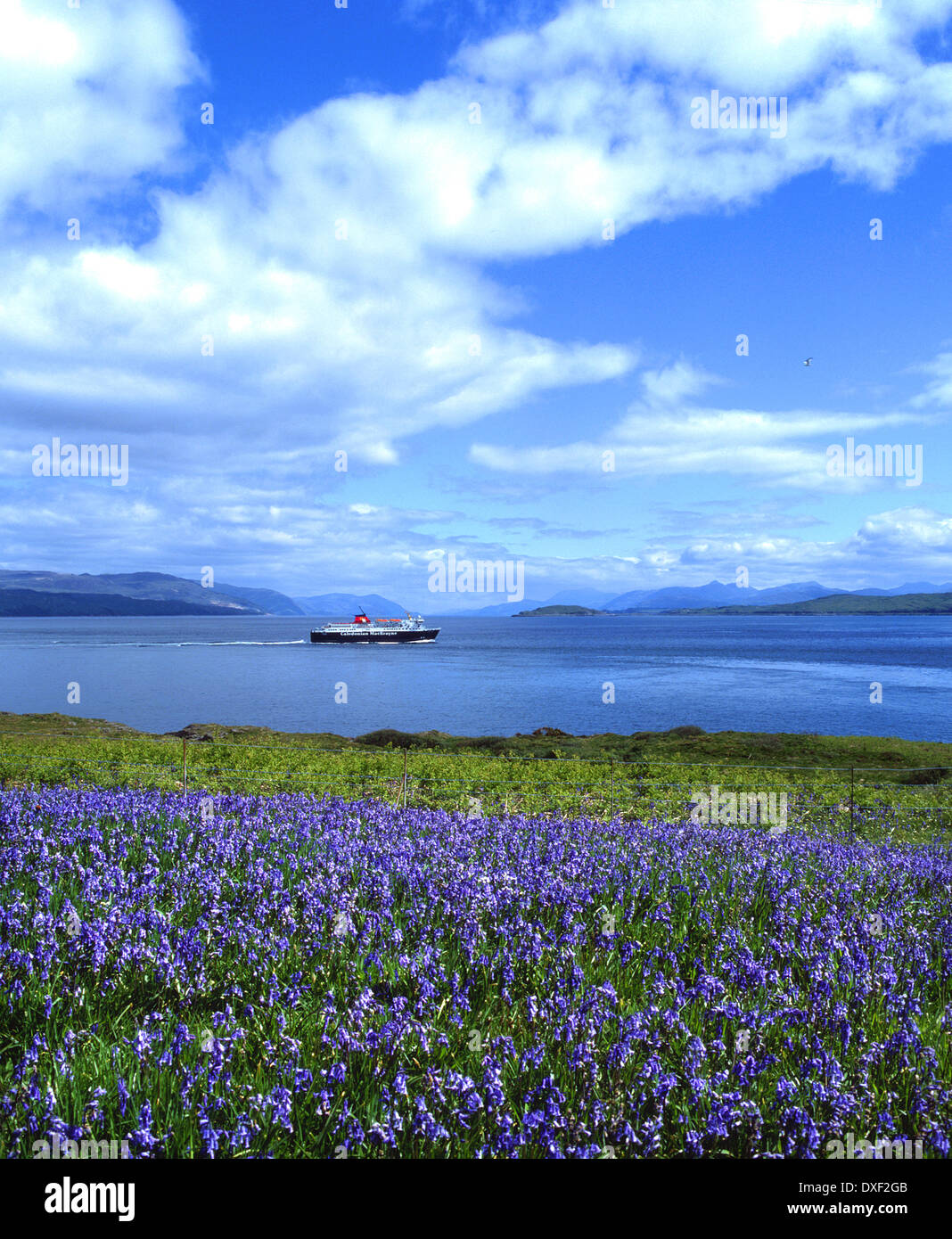 The M.V.Isle of Mull ferry  haeding for oban as seen from Duart Point, Isle of Mull, Argyll Stock Photo