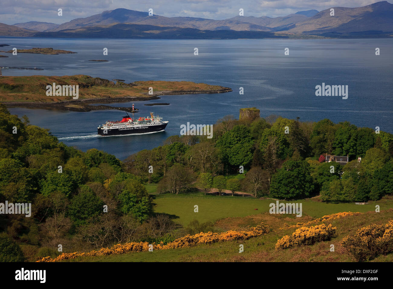 The M.V.Isle of Mull passing Dunollie Castle, Oban, Argyll Stock Photo