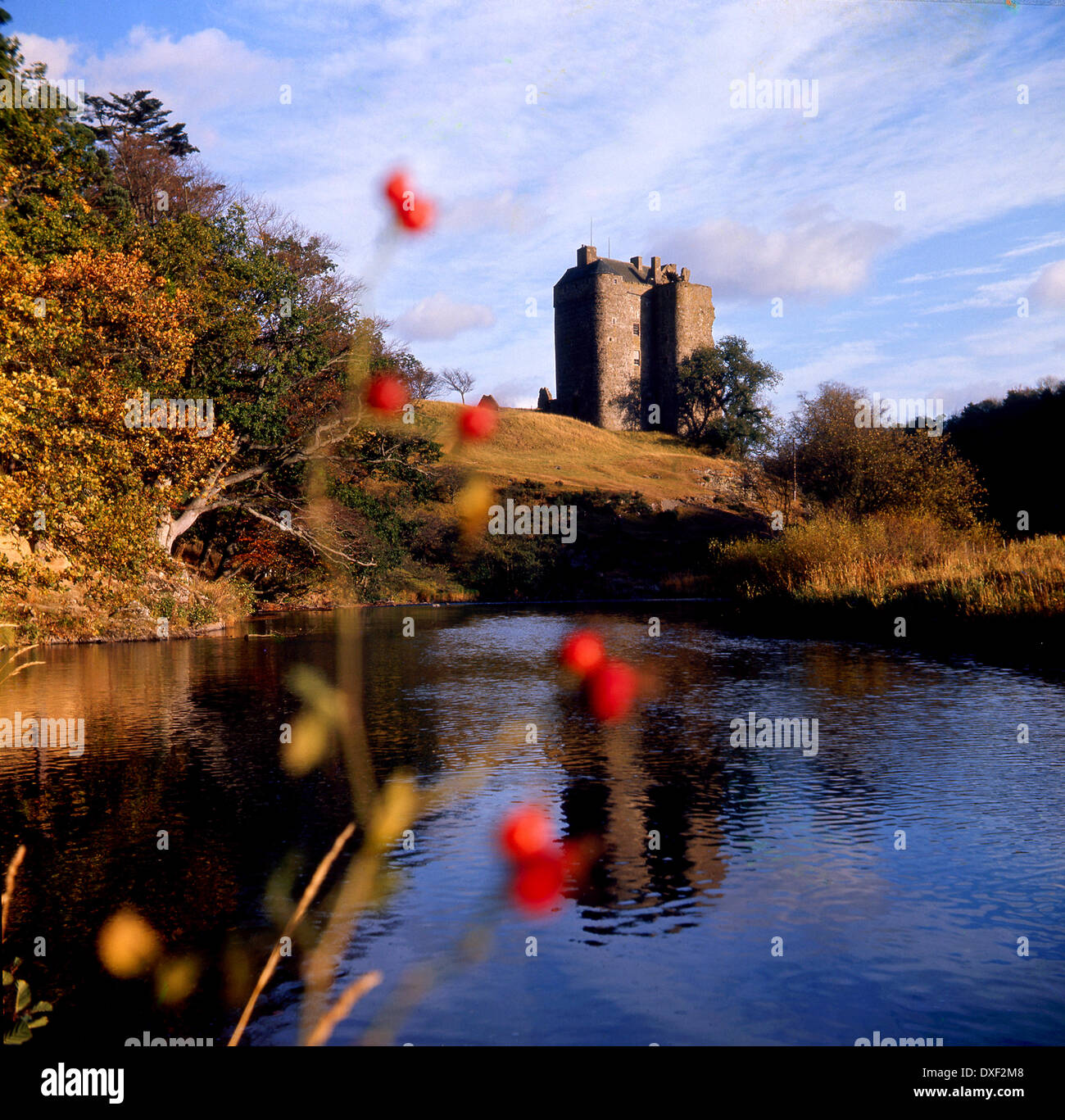 Neidpath Castle as seen from the river Tweed, Scottish Borders. The Castle is an L-Plan Rubble Tower House. Stock Photo