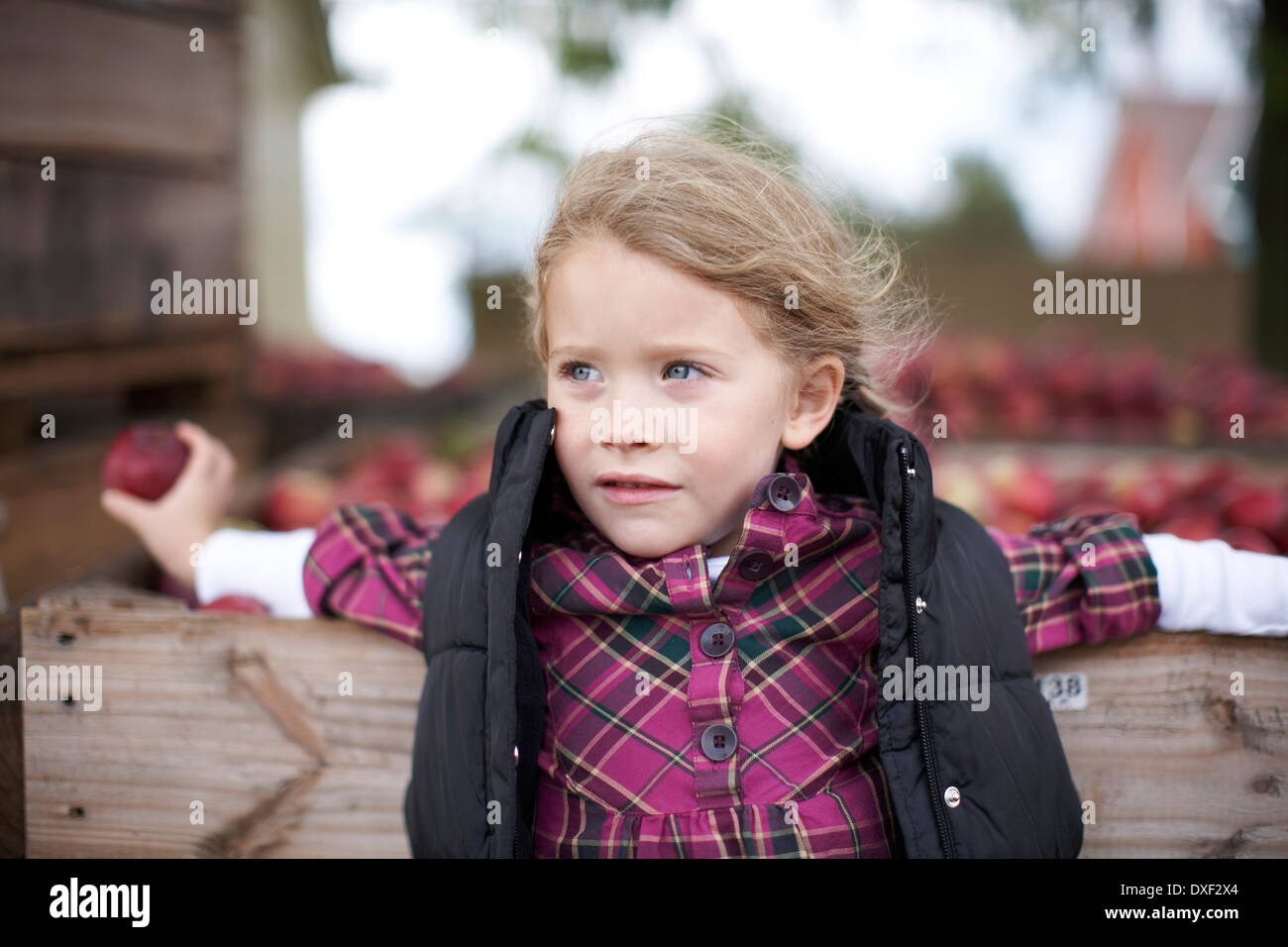 Girl Leaning on Apple Crate, Milton, Ontario, Canada Stock Photo