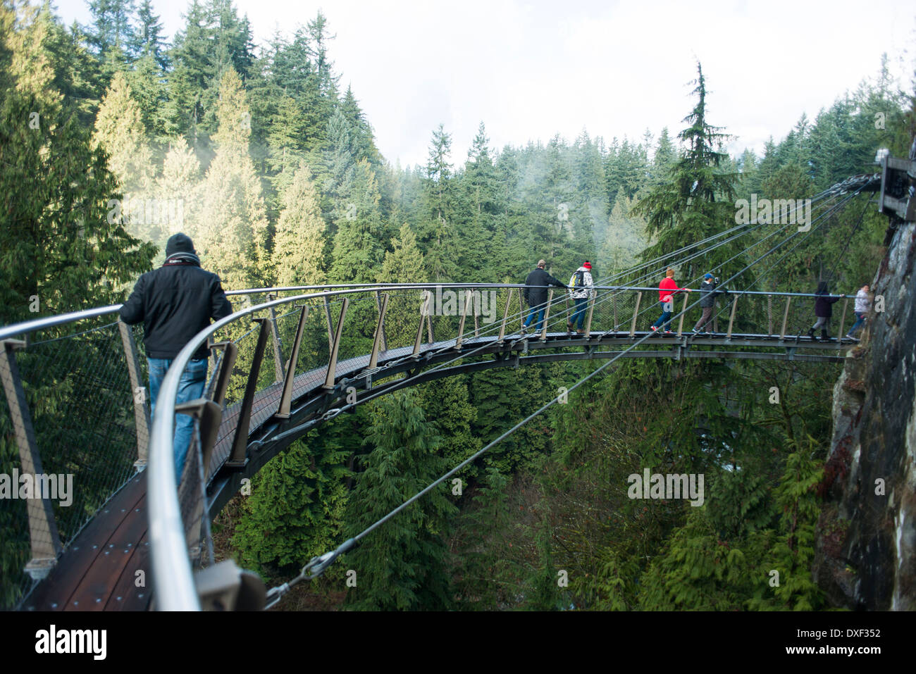 Capilano Suspension Bridge, North Vancouver, Temperate rainforest