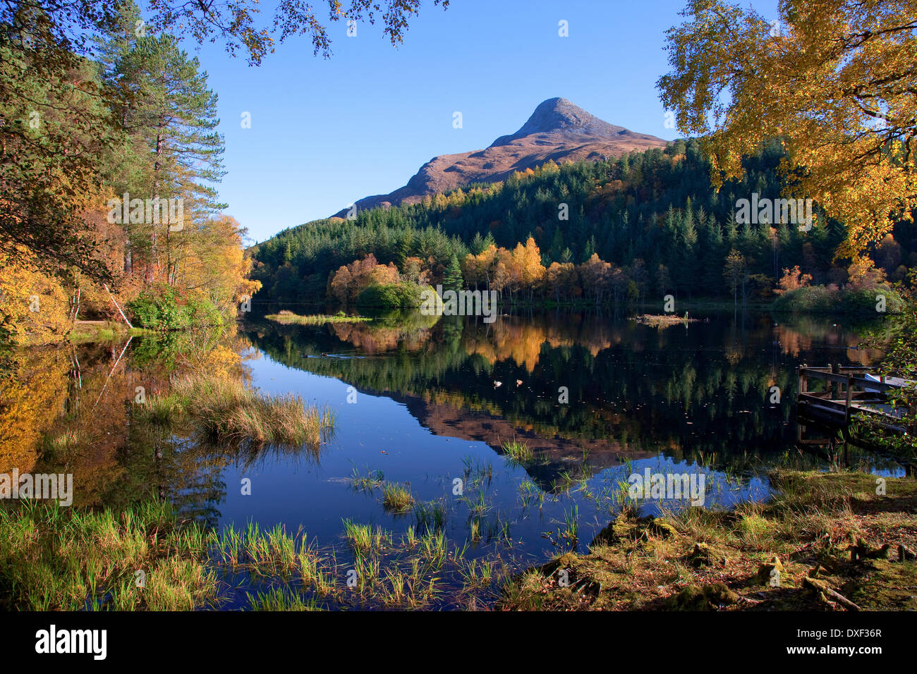 Autumn view on the Lochan Trail with the Pap of Glencoe in view, Argyll Stock Photo