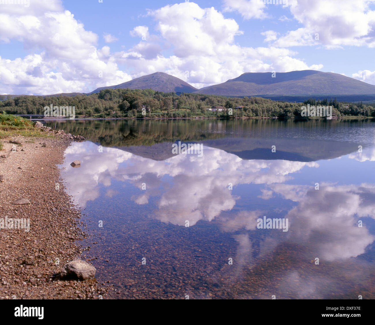Peaceful summer scene from the shore of Loch garry,lochaber,west highlands. Stock Photo