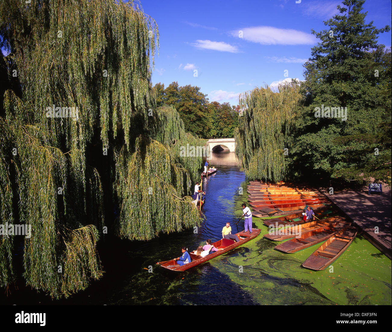 Punts on the river Cam at the bridge of sighs at st Johns college,Cambridge,East Anglia. Stock Photo