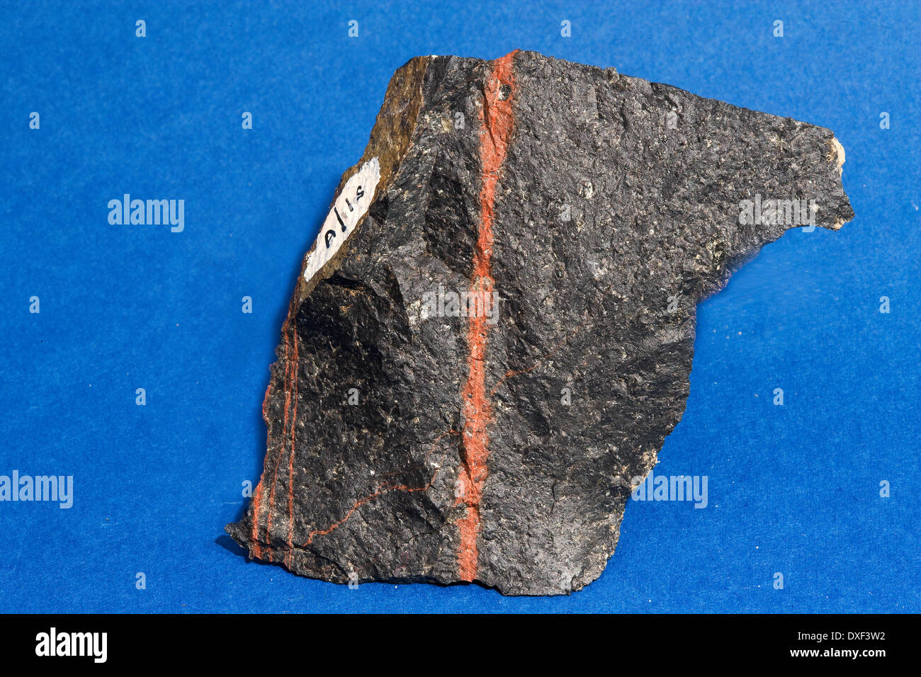 Sample of hyperthene andesite collected from the orchil hills by Dennis Hardley Stock Photo