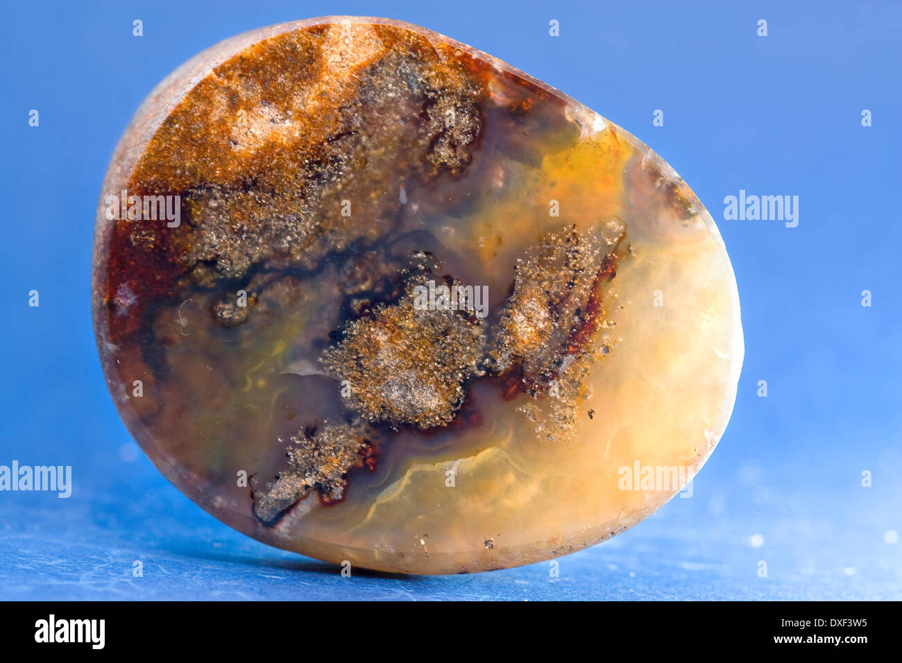 Sample of a cut and polished agate pebble. Stock Photo