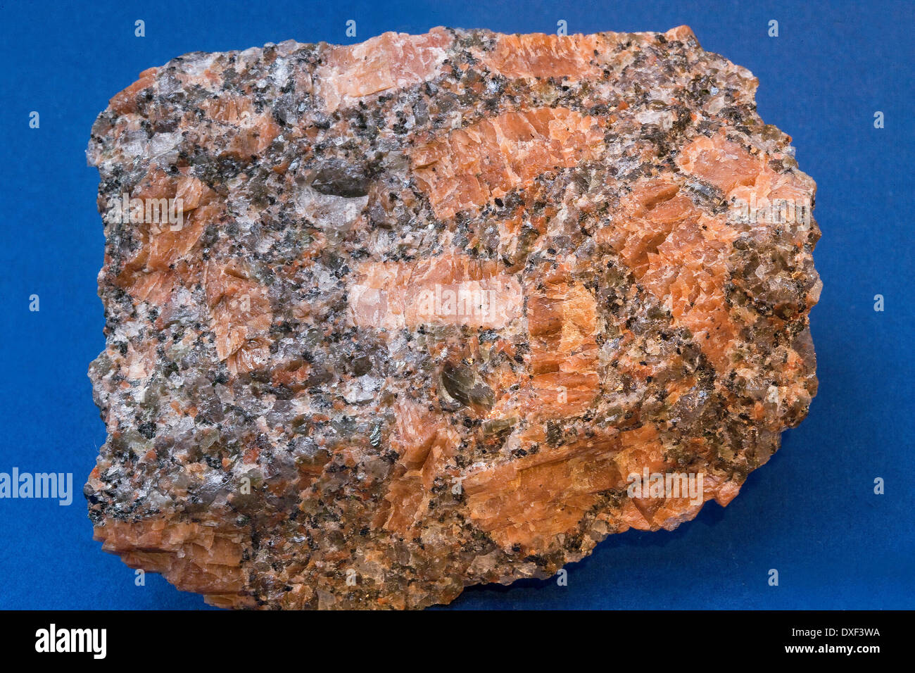 specimen of Shap granite collected by Dennis Hardley. Stock Photo
