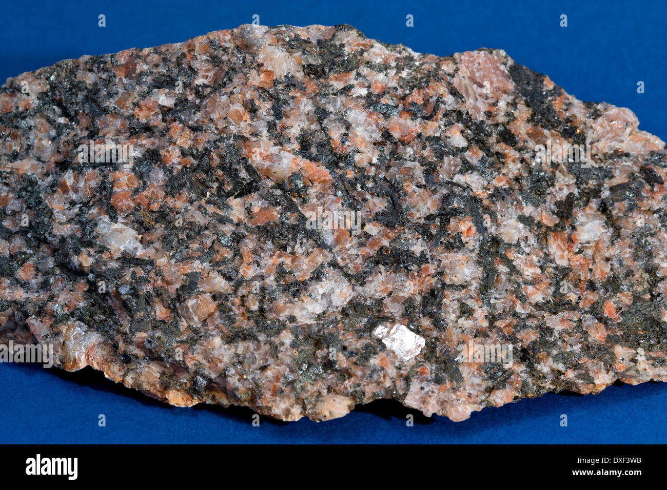 Specimen of Granodiorite igneous rock from loch Sunart ardnamurchan.Argyll Stock Photo