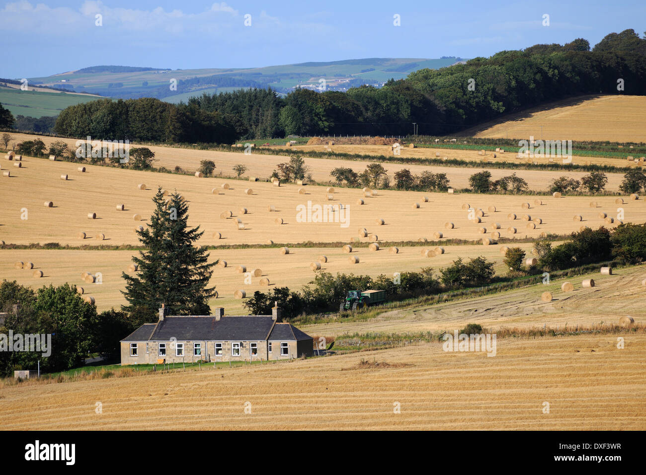 Rolling Countryside, Aberdeenshire Stock Photo Alamy