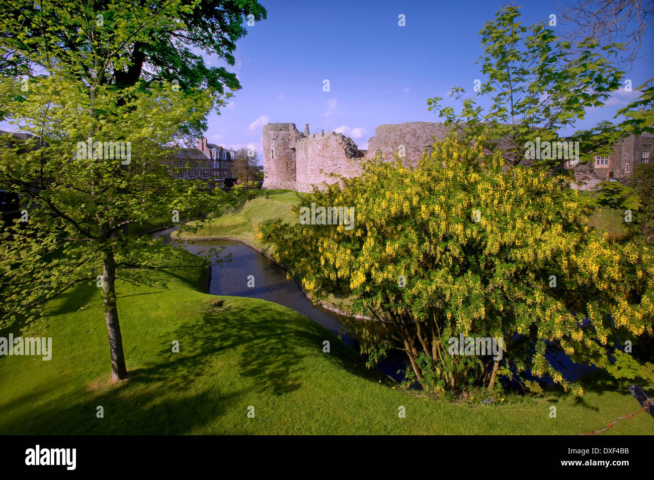 Rothesay castle and moat, Isle of Bute Stock Photo Alamy