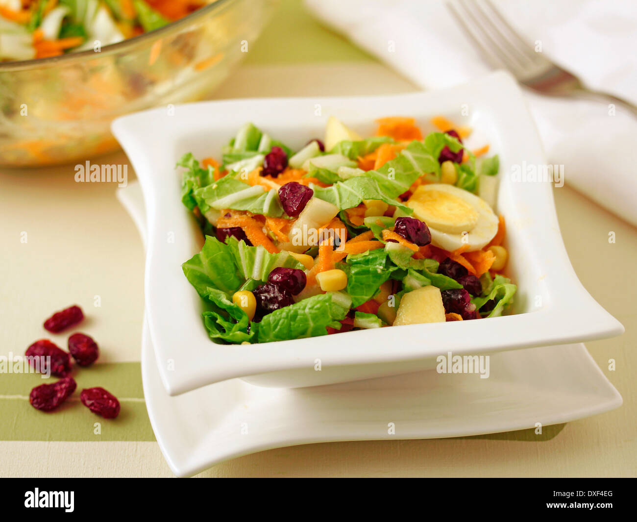 Chinese cabbage salad with cranberries. Recipe available.e Stock Photo