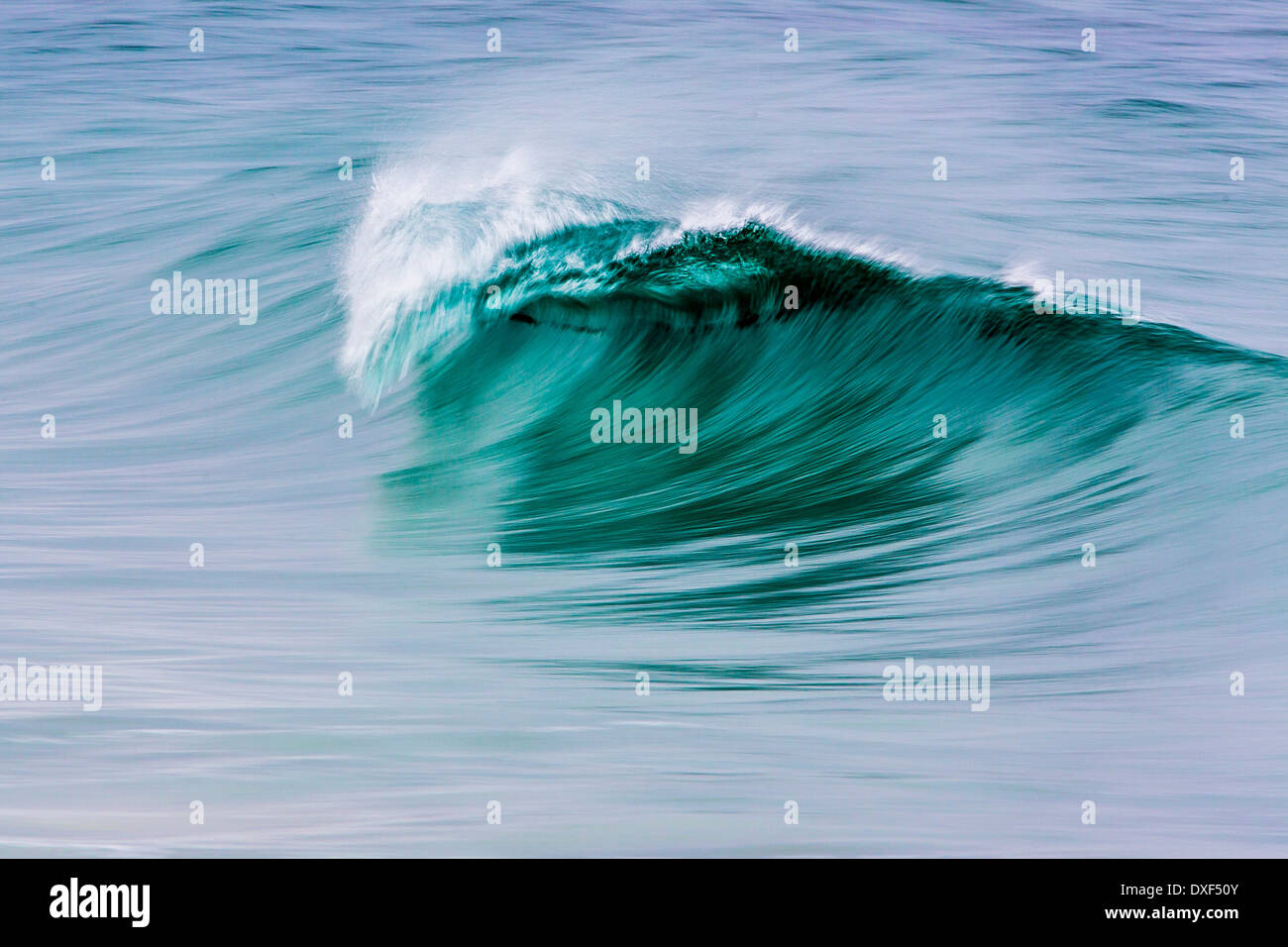 A wave breaks off of Laguna Beach in California, USA Stock Photo