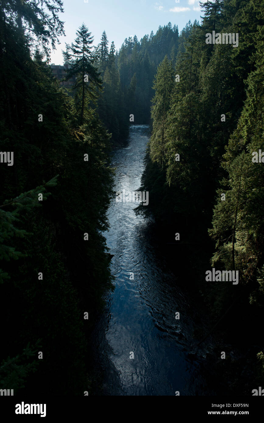 Capilano Suspension Bridge, North Vancouver, Temperate rainforest