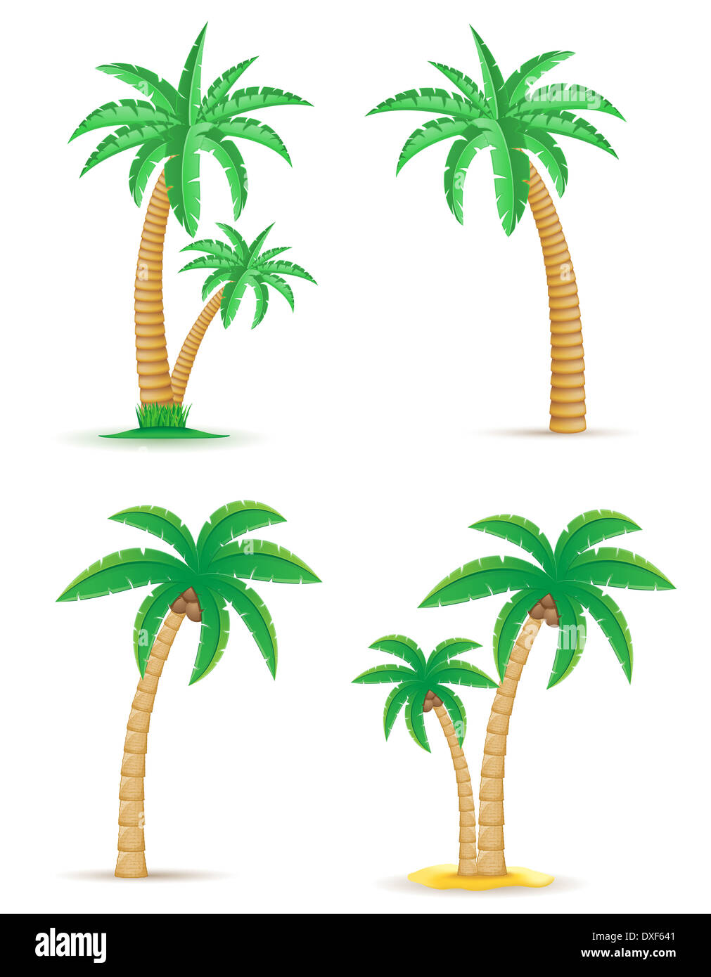 palm tropical tree set icons illustration isolated on white background ...