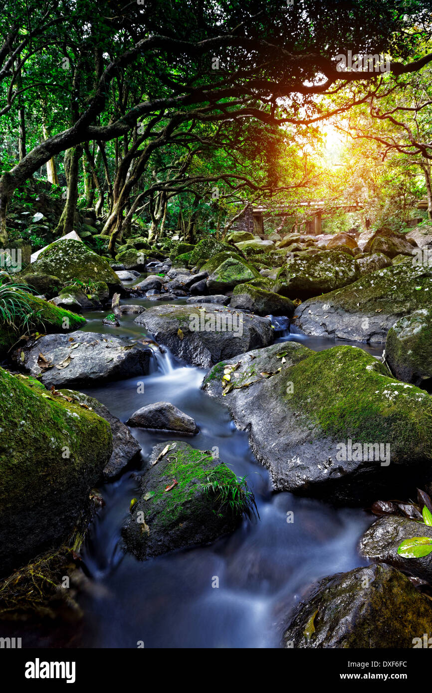 Bamboo rocks stream 墨竹扇面図 hi-res stock photography and images - Alamy