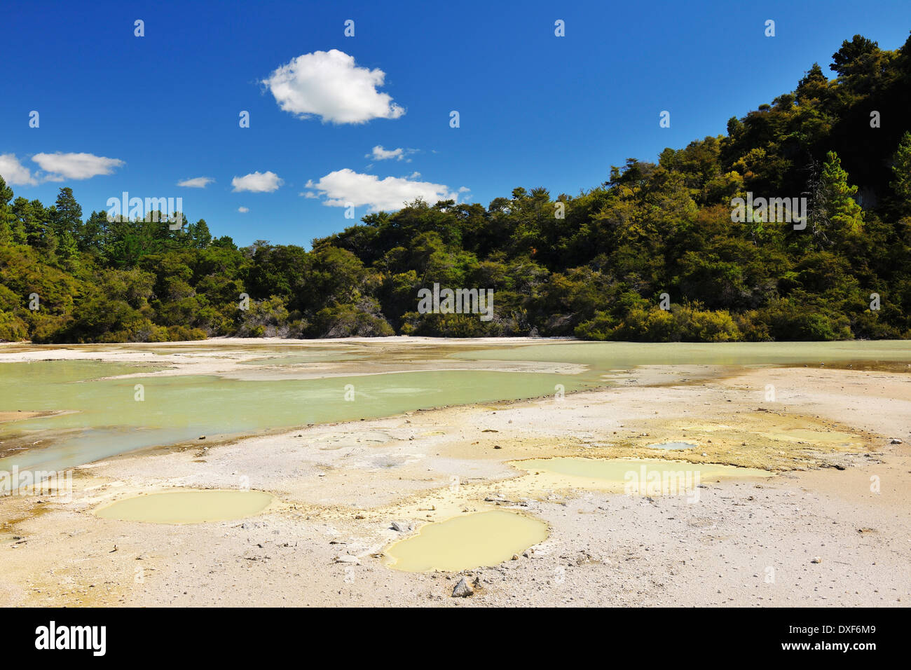 Frying Pan Flat, WaiOTapu Thermal Wonderland, Bay of Plenty, North