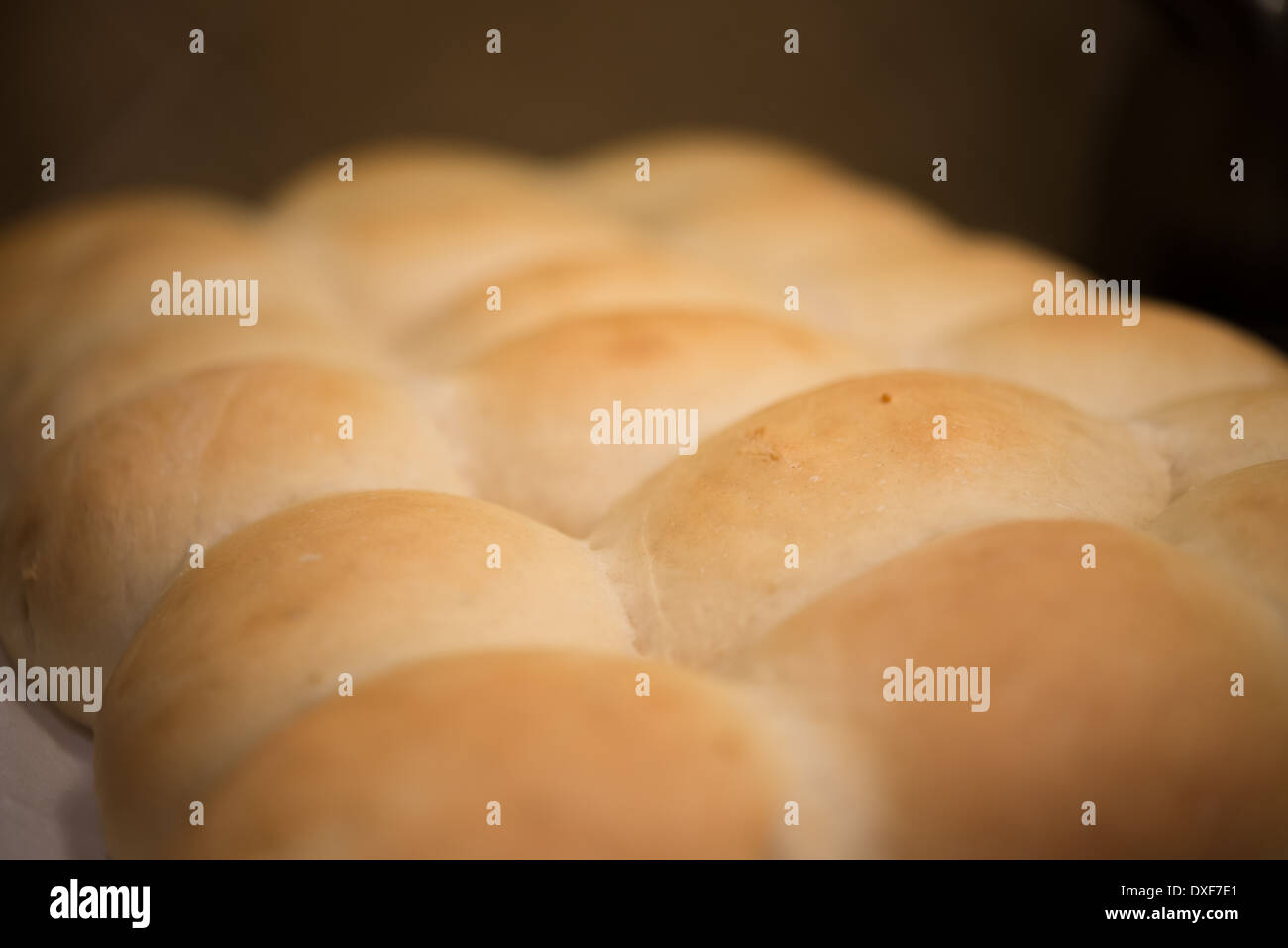 Parker House Rolls on a baking sheet with a shallow depth of field Stock Photo