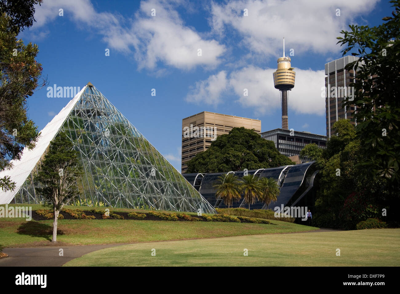 The Pyramid Greenhouse in the Botanical Gardens in Sydney in Stock