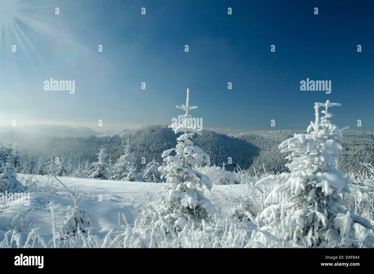 Winter, snow-covered landscape, Black Forest, Germany, Stock Photo