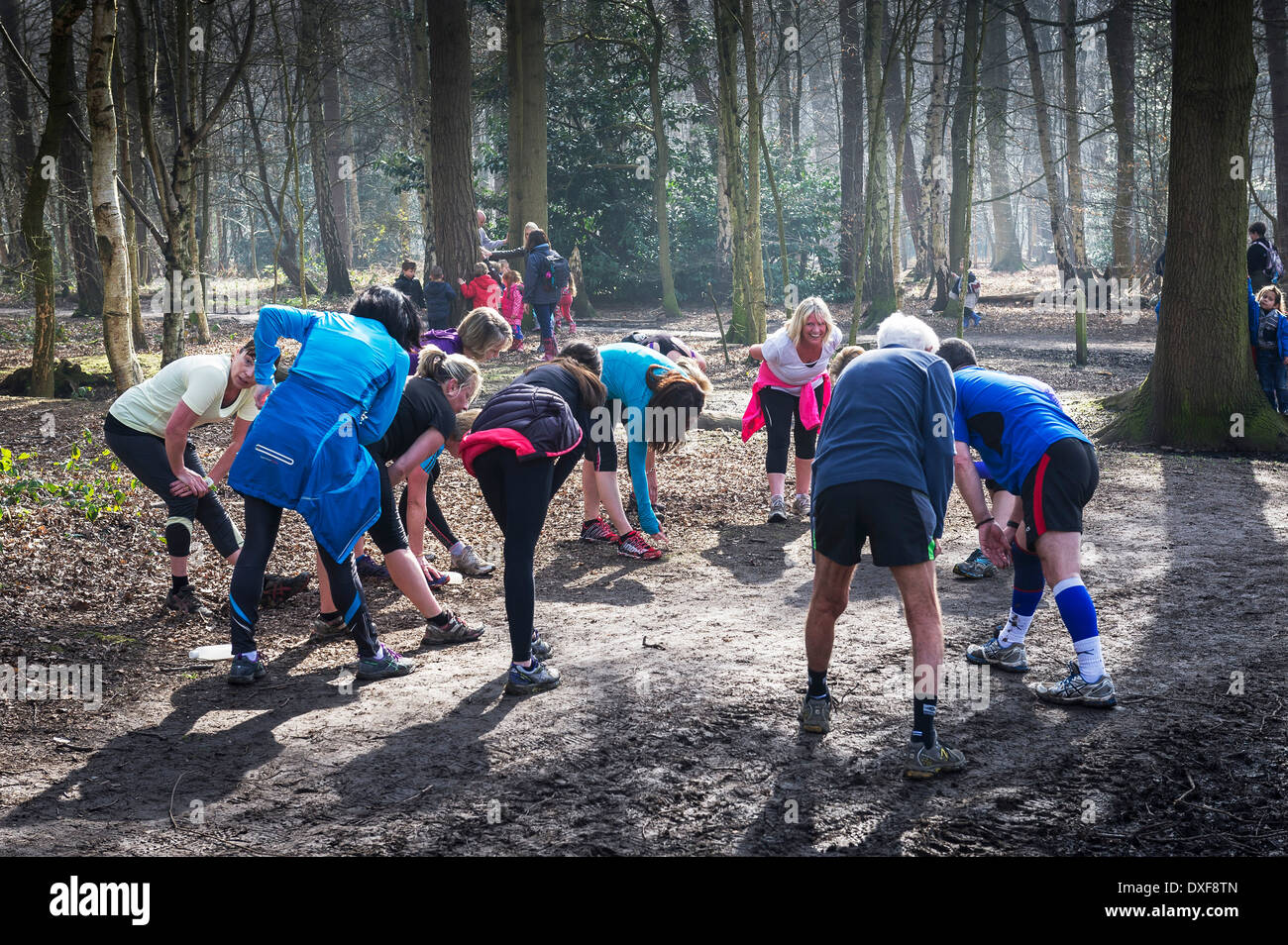 A group of walkers exercising in woodland. Stock Photo
