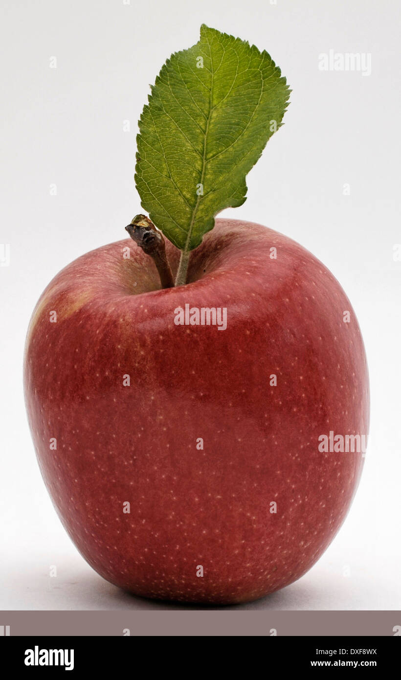 red apple with leaf Stock Photo