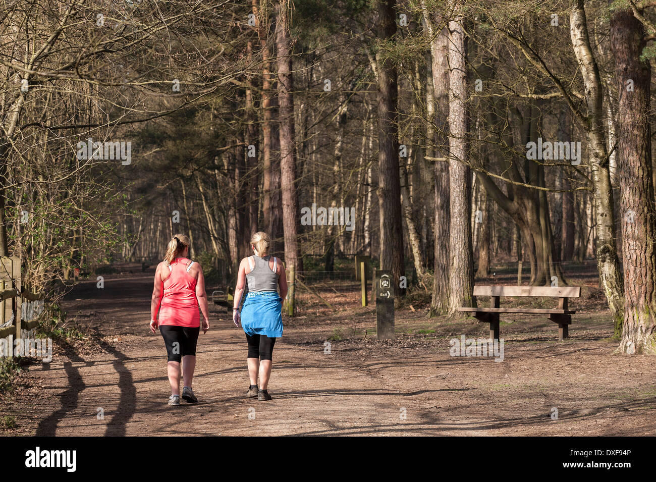 Two women walking in the woods hi-res stock photography and images - Alamy