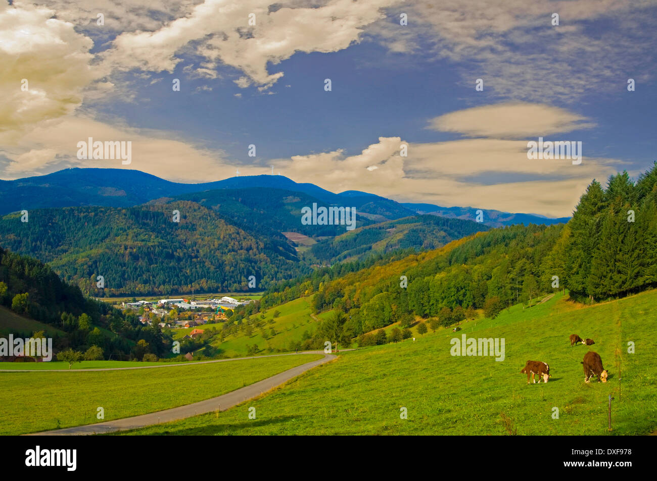 Kinzig Valley, Black Forest, Germany, Stock Photo