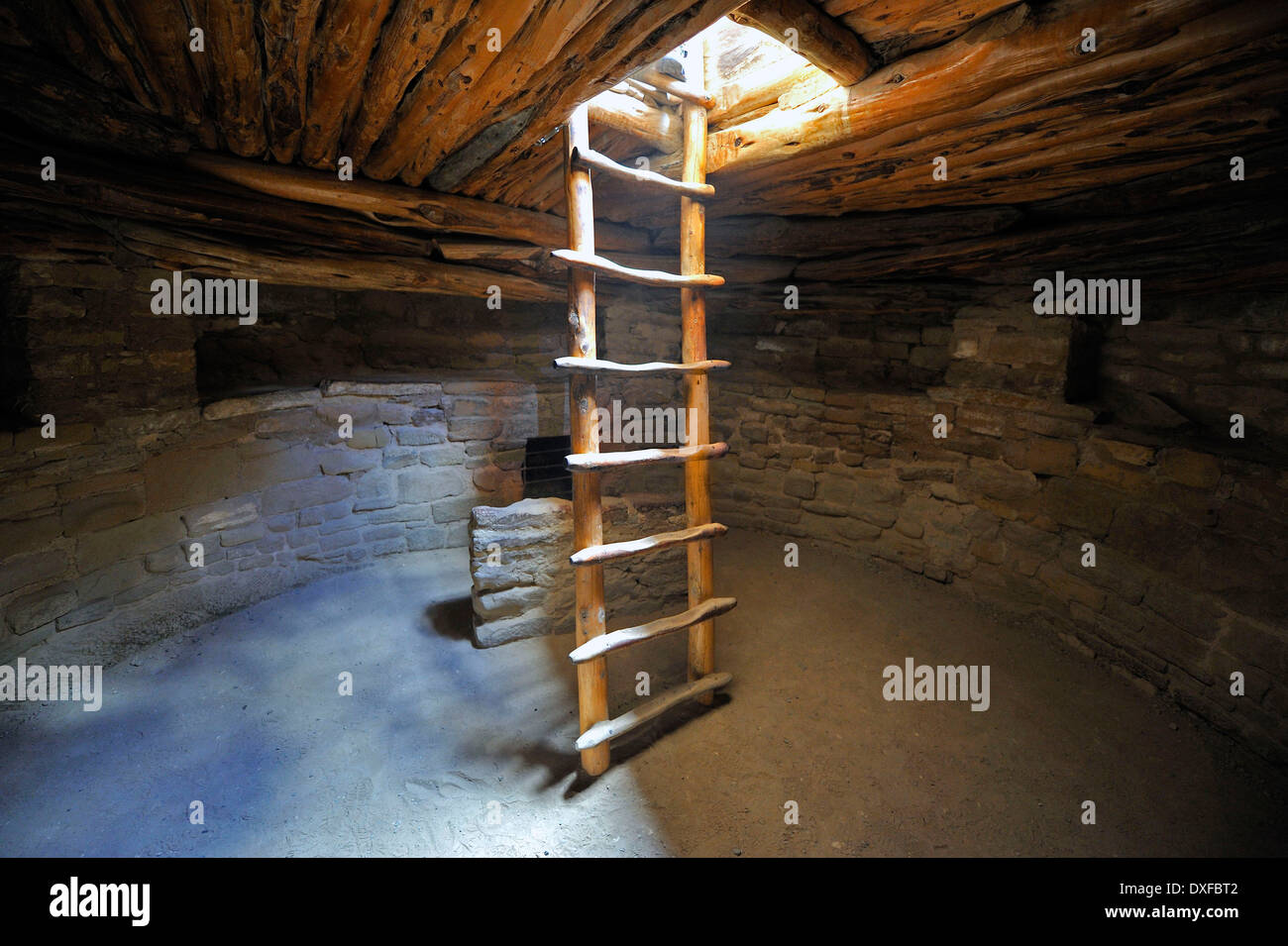 Ladder into underground room Kiwa Spruce Tree House cliff dwelling of native Americans about 800 years old Mesa Verde National Stock Photo