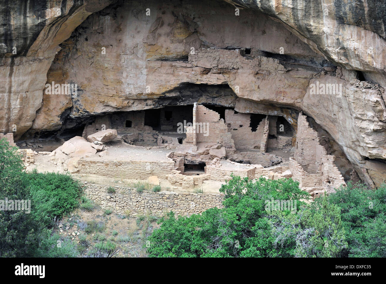 Oak Tree House, cliff dwelling of the Native American Indians, about 800 years old, Mesa Verde National Park, Colorado, USA Stock Photo