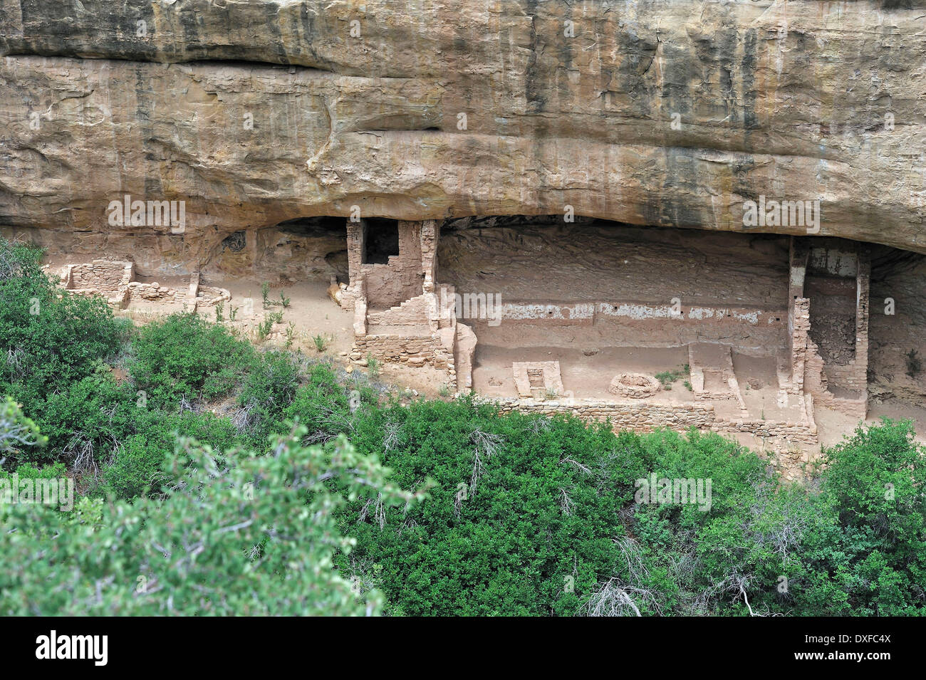 Fire Temple, cliff dwelling of the Native American Indians, about 800 years old, Mesa Verde National Park, Colorado, USA Stock Photo