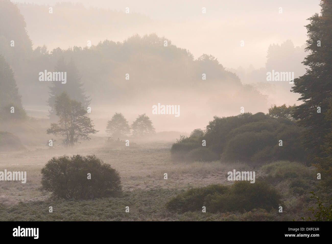 Valley in morning mist, Spessart, Bavaria, Germany, Europe Stock Photo