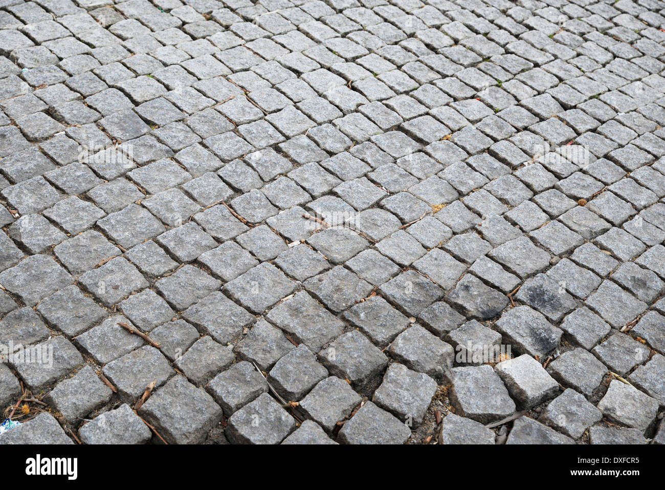 Detail of a cobbled road. Porto, Portugal Stock Photo