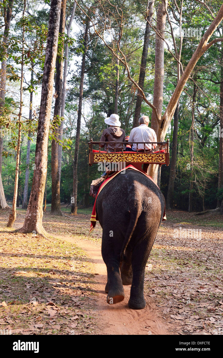 Elephants carrying tourists hires stock photography and images Alamy