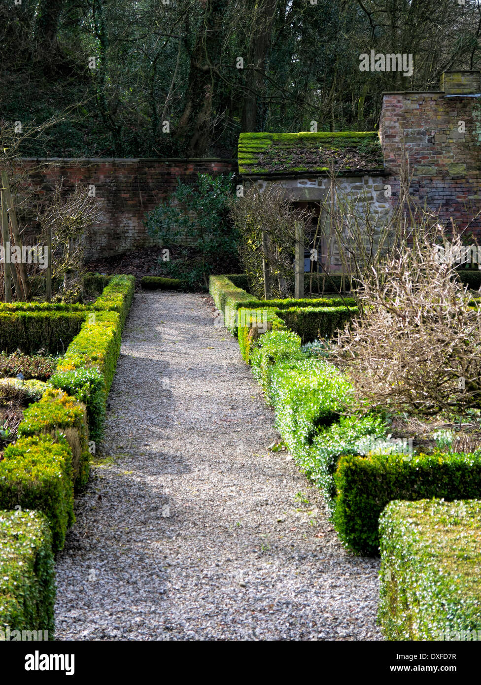 Walled garden with box walkway. Stock Photo