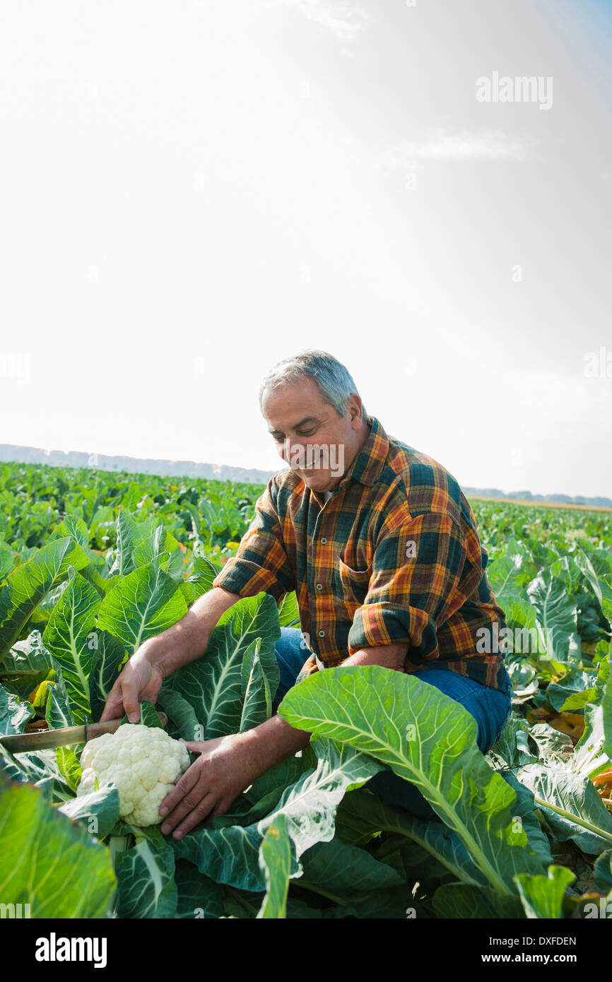 Farmer field sky casual clothing hi-res stock photography and images ...