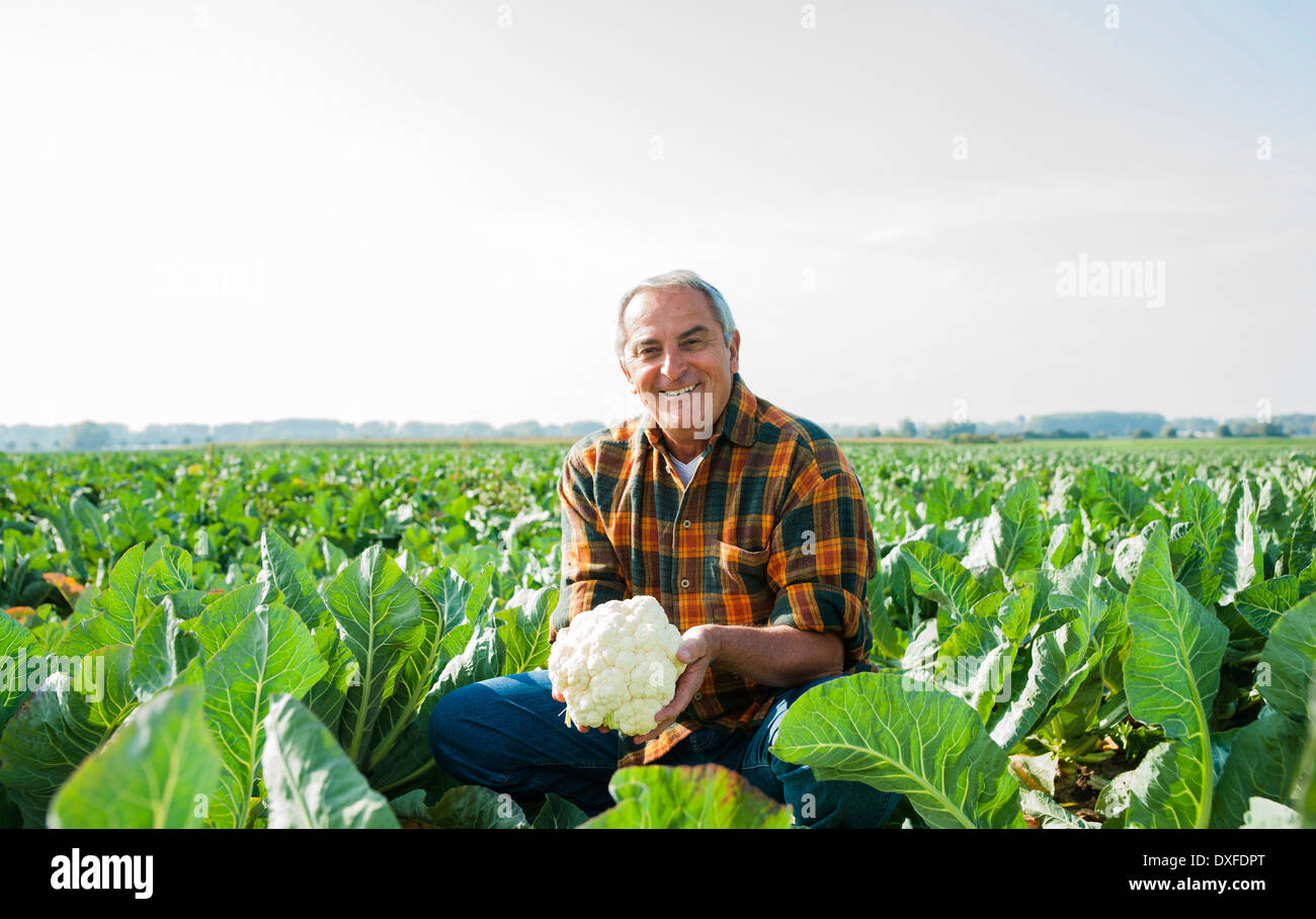 Portrait of farmer in field, holding cauliflower, Germany Stock Photo ...