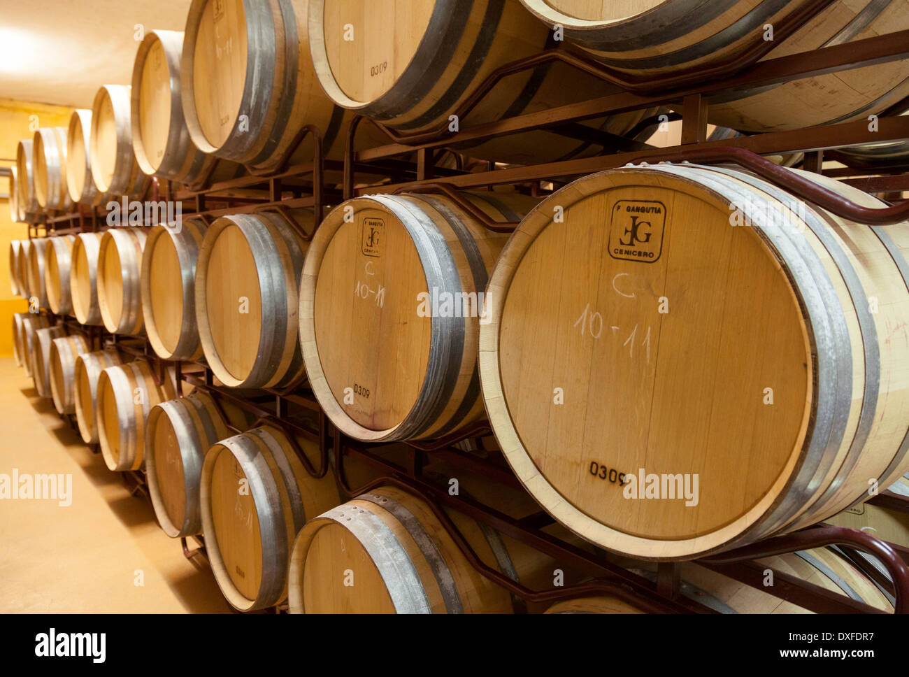 Barrels of spanish wine in the Perfer vineyard wine cellar Almeria