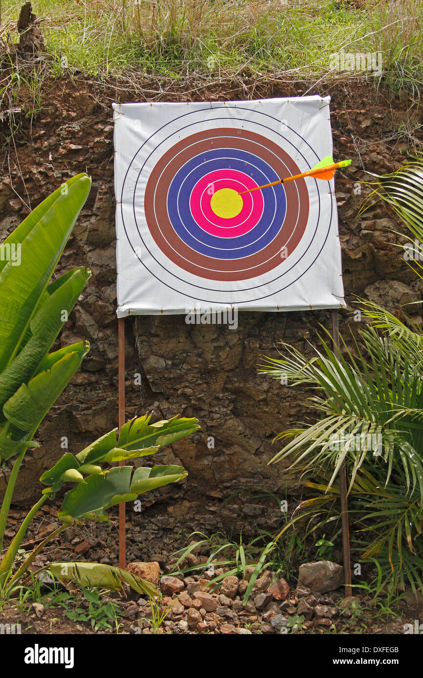Archery boards deals