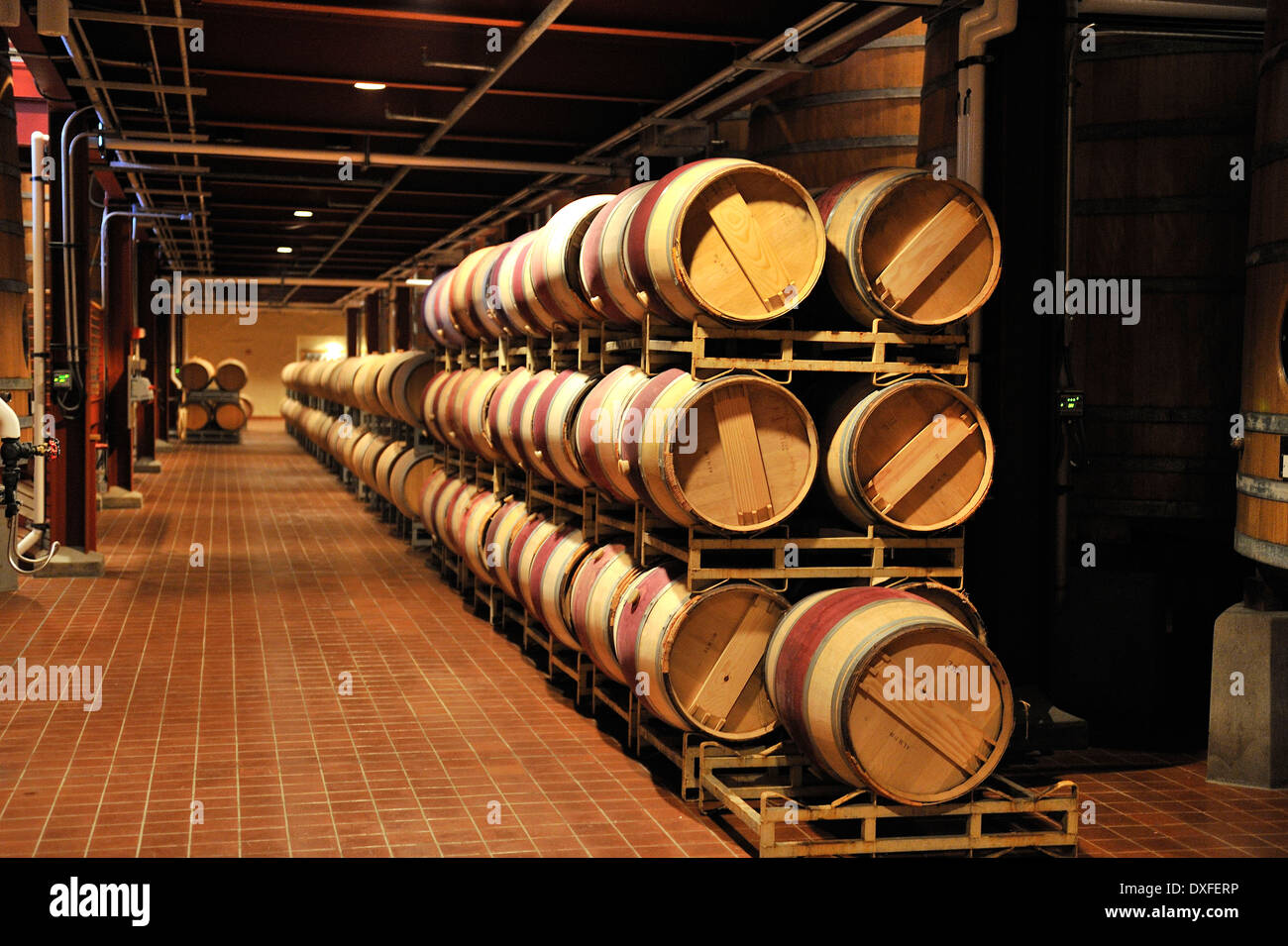 French oak barrels, aging cellar, Robert Mondavi Winery, Napa Valley, California, USA Stock Photo