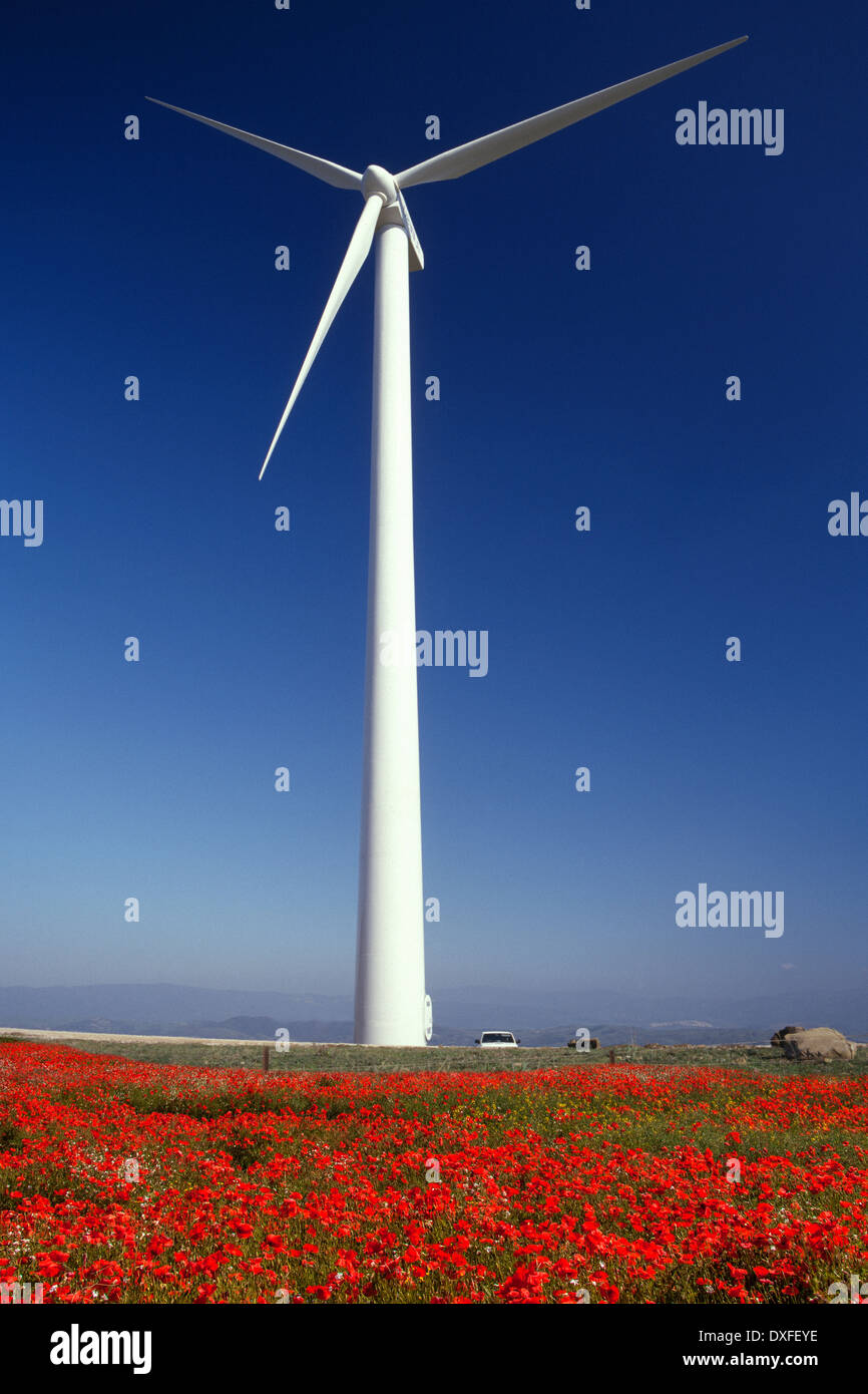 A wind turbine is a device that converts energy from the wind