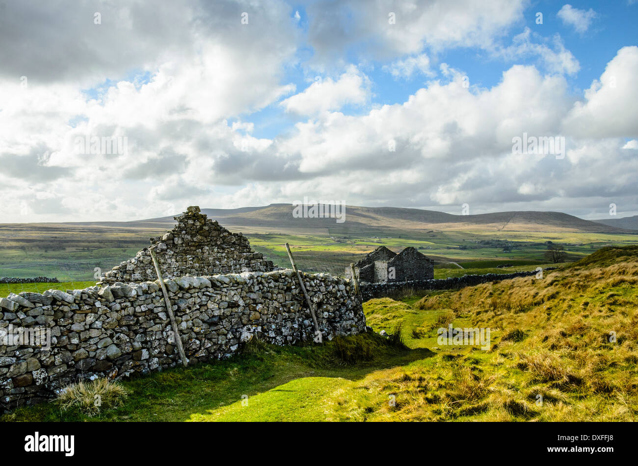 Ruined barns and stone walls above Ribblesdale in the Yorkshire Dales National Park England with Ingleborough on the horizon Stock Photo