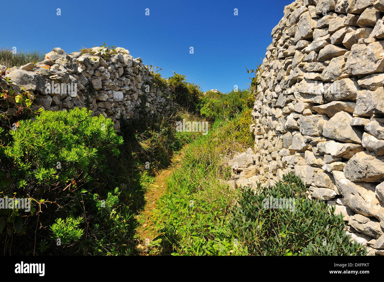 Path Between Stone Walls, Peniche, Leiria, Portugal Stock Photo