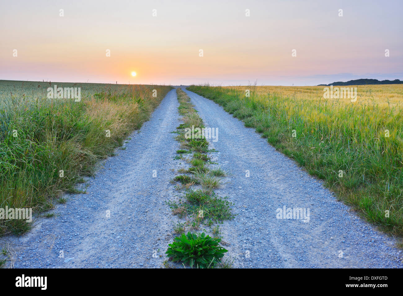 Field Path at Sunrise in Summer, Arnstein, Franconia, Bavaria, Germany Stock Photo