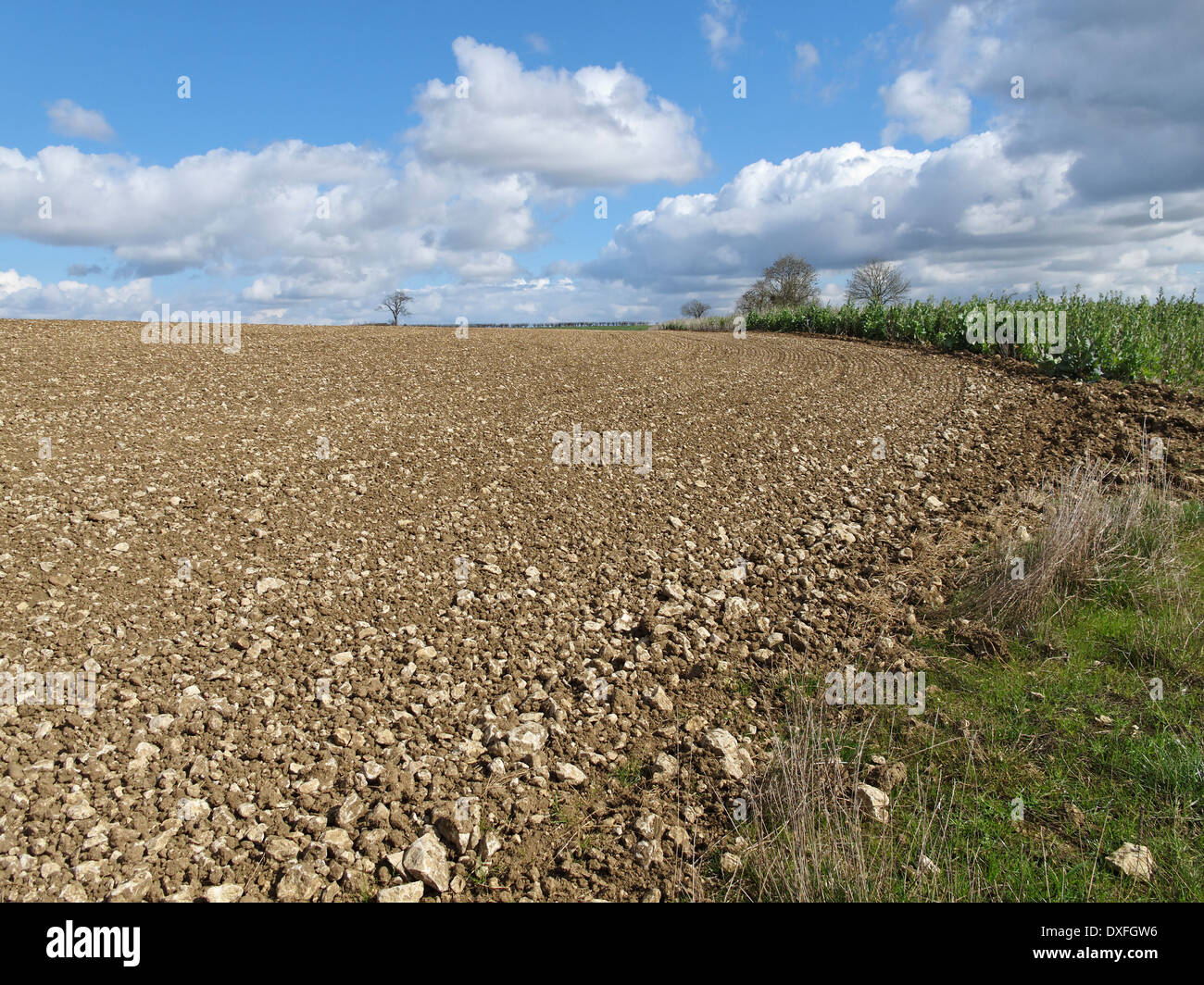 A ploughed Lincolnshire field. Stock Photo