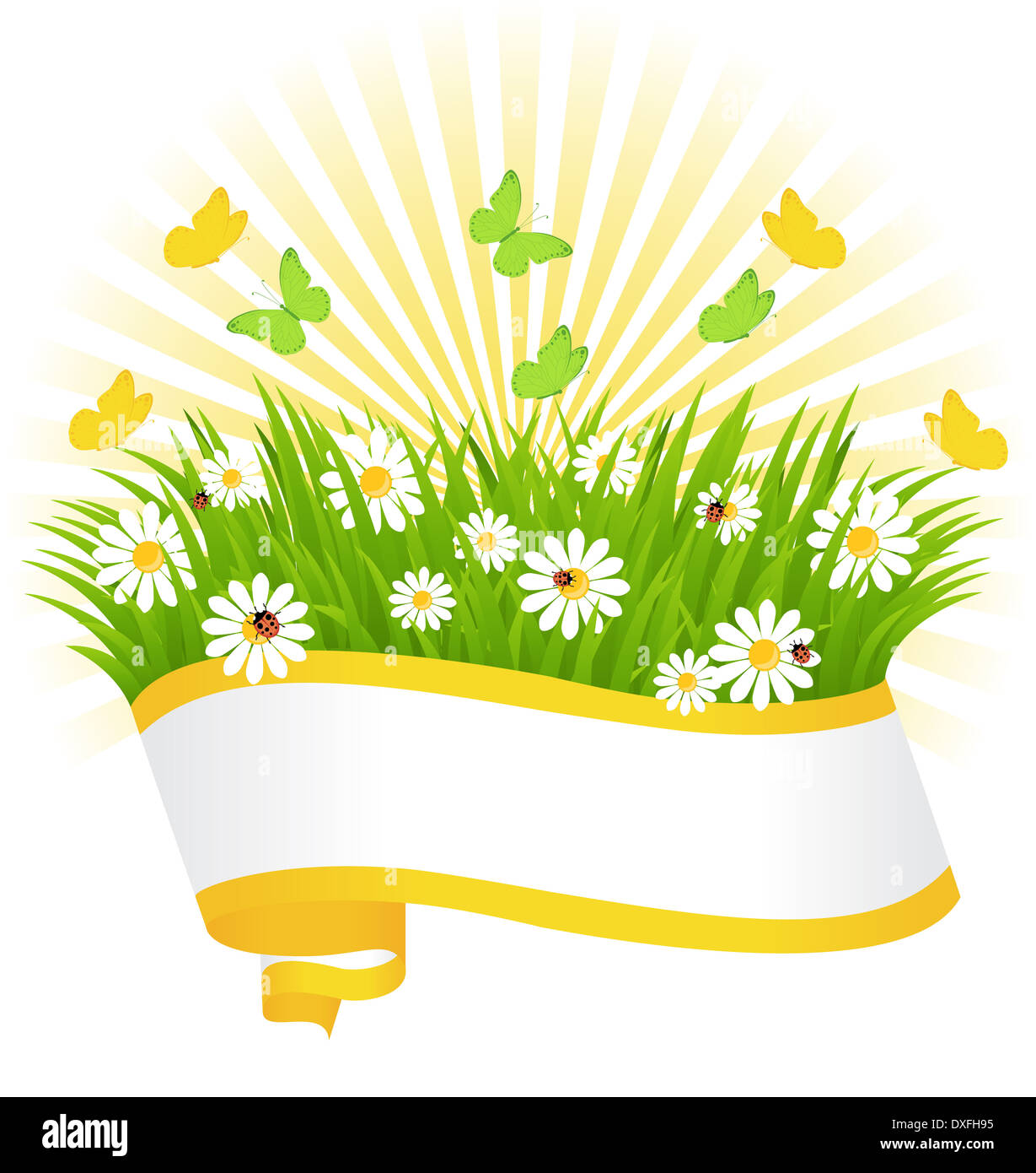 spring background with green grass, butterflies and ladybugs Stock ...