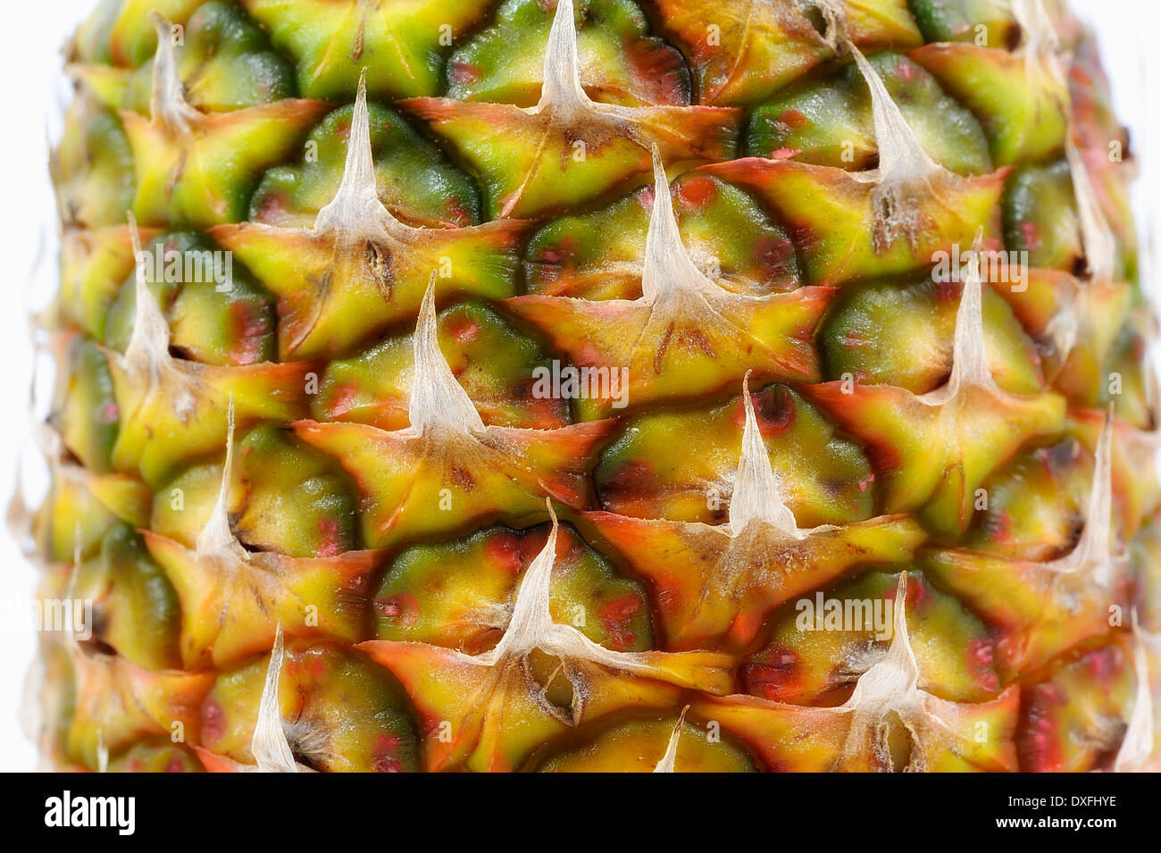 Close up pineapple skin hires stock photography and images Alamy